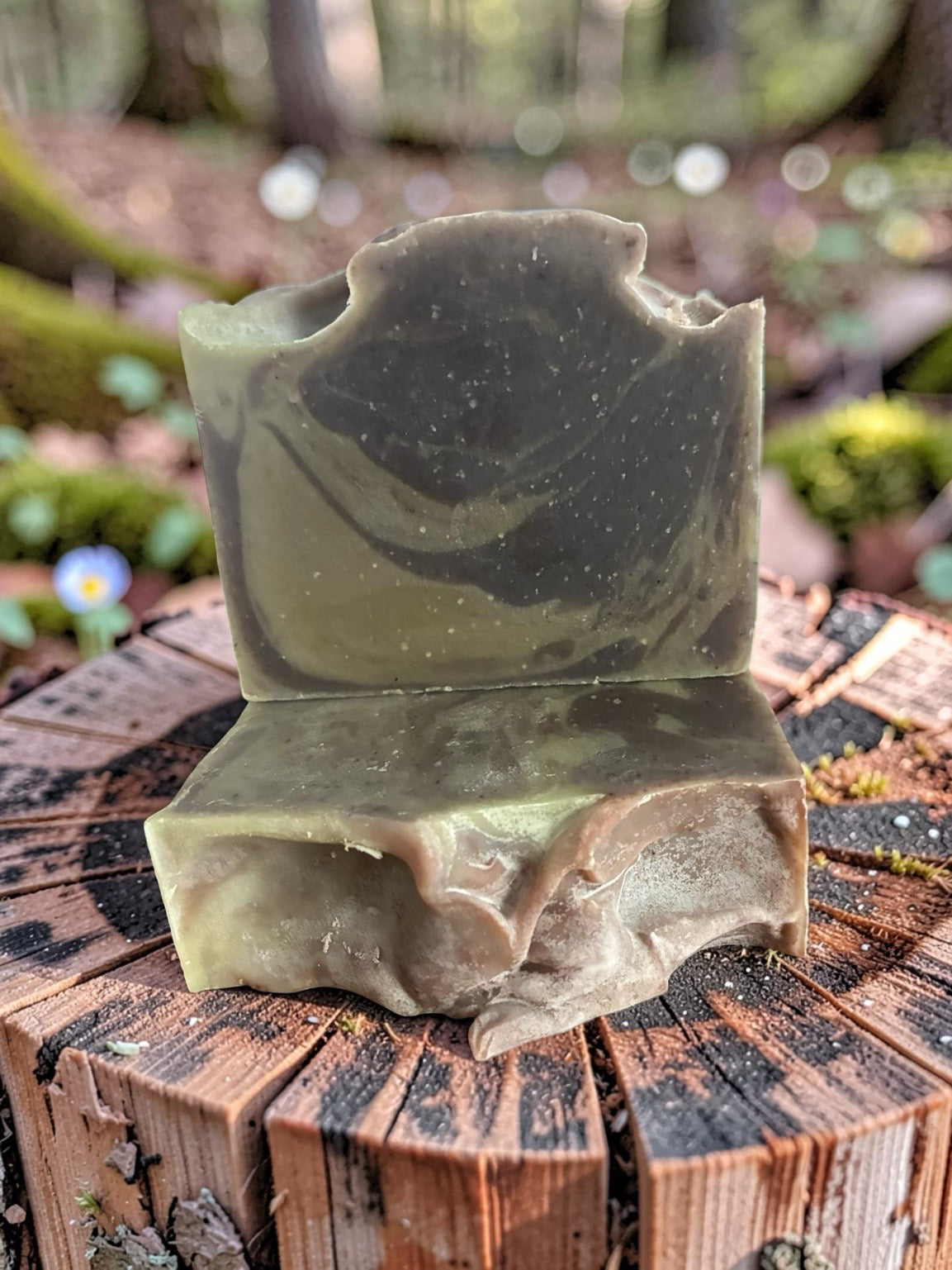 Wildwood Shampoo & Body Soap